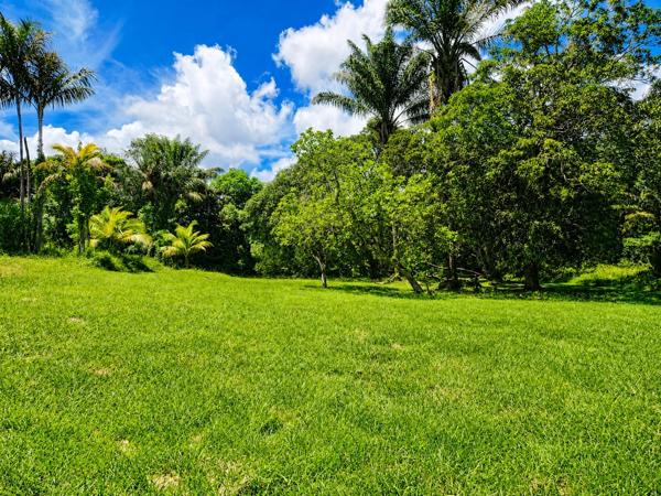 Matoury – Propriété de charme avec piscine sur près de 1,7 hectare