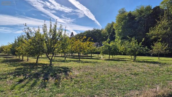 Achat - Maison | Maison rurale Torcé-en-Vallée 72110 4 pièces 133 m 2 8161 m 2