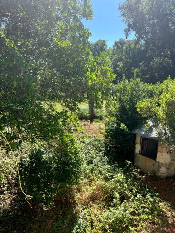 Propriété de caractère au coeur d'un écrin de verdure bucolique (8 pièces, 5 chambres, 227 m2)