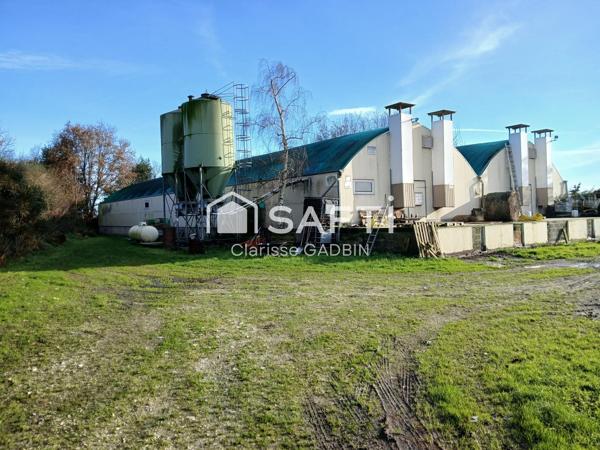 Belle maison en pierres rénovée  avec 4 chambres, 8 hectares de terre et 2 bâtiments agricoles pour élevage