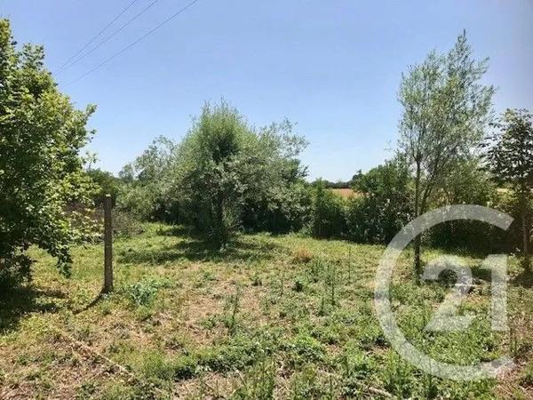 Maison à vendre  11 pièces - 233,23 m 2   BLET  - 18