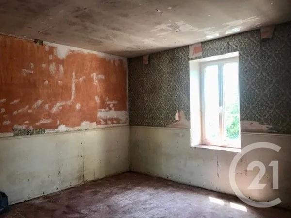 Maison à vendre  11 pièces - 233,23 m 2   BLET  - 18