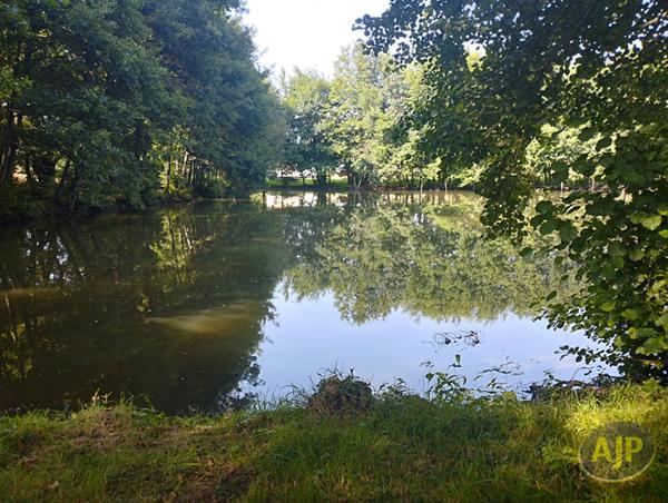 Vente terrain Saint André De La Marche : 60 000 € - AJP Immobilier Saint-Macaire-en-Mauges