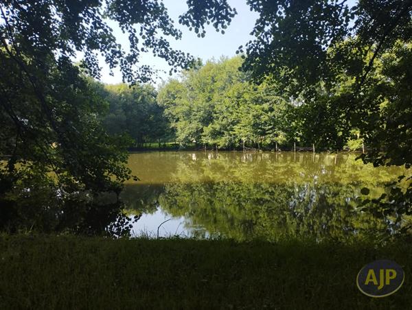 Vente terrain Saint André De La Marche : 60 000 € - AJP Immobilier Saint-Macaire-en-Mauges