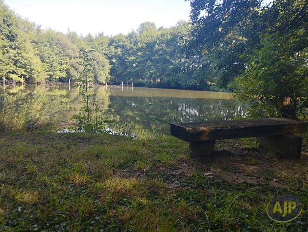 Vente terrain Saint André De La Marche : 60 000 € - AJP Immobilier Saint-Macaire-en-Mauges