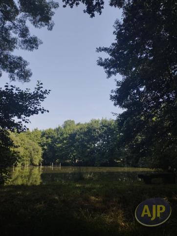 Vente terrain Saint André De La Marche : 60 000 € - AJP Immobilier Saint-Macaire-en-Mauges