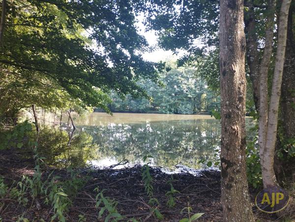 Vente terrain Saint André De La Marche : 60 000 € - AJP Immobilier Saint-Macaire-en-Mauges