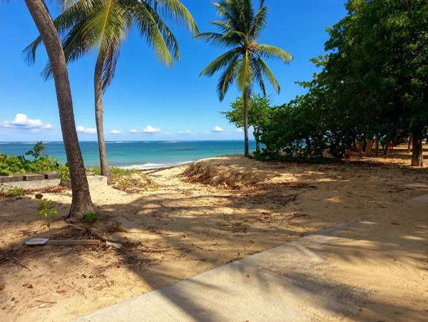 Appartement meublé, vue mer, vaste terrasse, à vendre 3 pièces, LE MOULE (971)