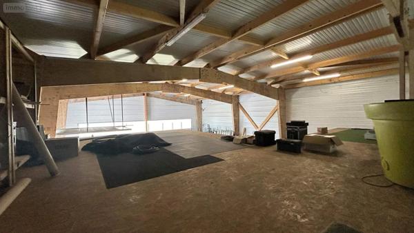 Achat - Fonds et/ou murs commerciaux Château-Gontier-sur-Mayenne 53200 4 pièces 250 m 2 1756 m 2