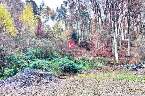 Terrain constructible à vendre Mazaye de 3200m²