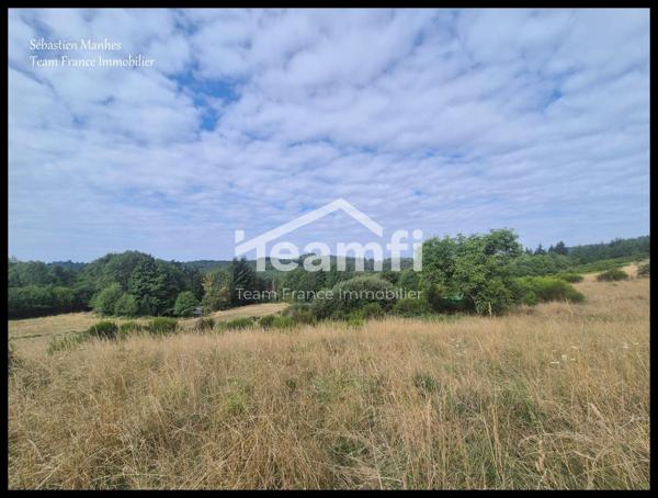 Terrain constructible à vendre, 08 a - Thiers 63300