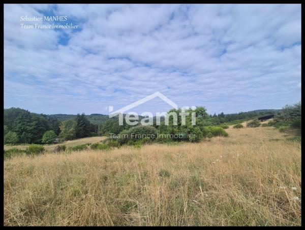 Terrain constructible à vendre, 08 a - Thiers 63300