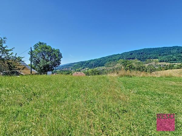 Terrain constructible