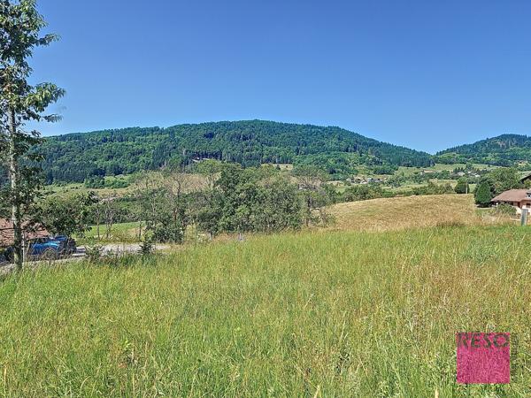 Terrain constructible