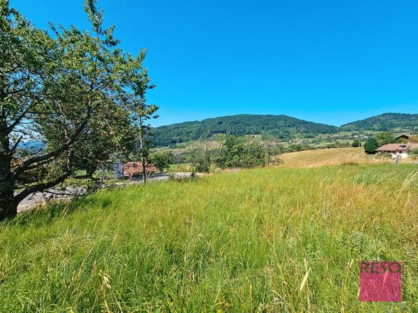 Terrain constructible