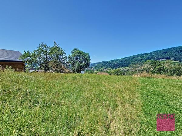 Terrain constructible