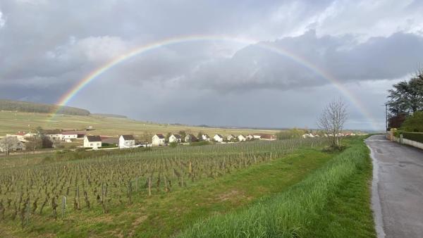 Vente en Nue-Propriété au profit d’une Dame de 91 ans