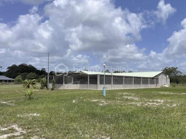 Exploitation agricole de 250 m²