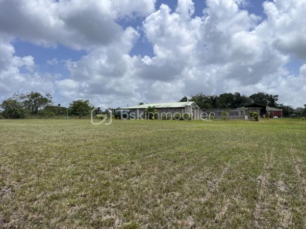 Exploitation agricole de 250 m²