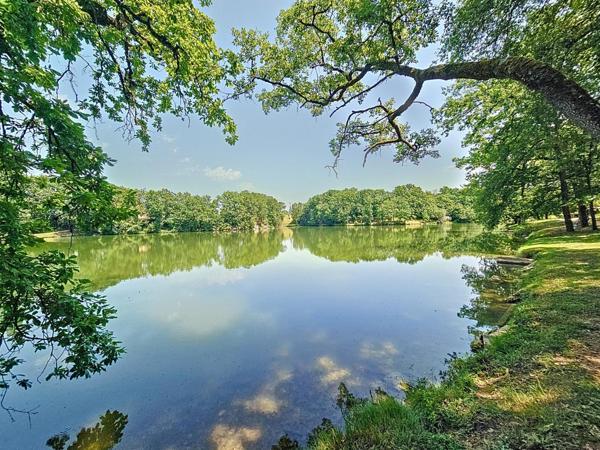 Envie de calme et de confort ?
