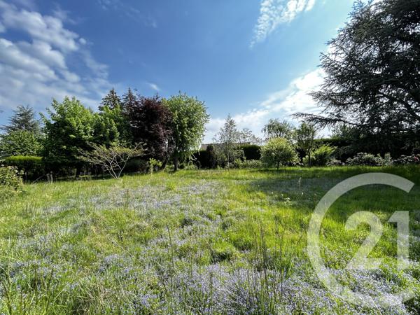 Terrain à vendre  1000 m2 ENTRAMMES - 53