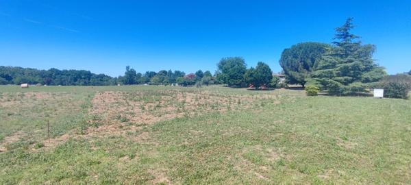 Terrain à bâtir à Sigoulès ? Forme idéale, vue dégagée !