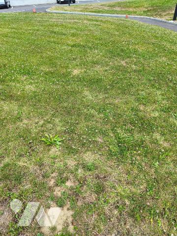 Maison de bourg - LONLAY L'ABBAYE