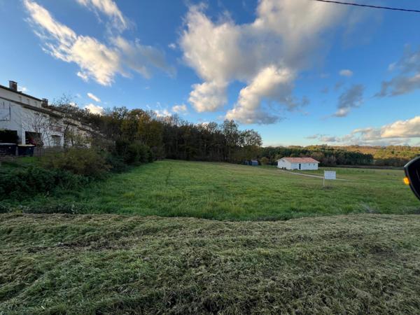 À vendre : Terrain constructible de 1 356 m² – Idéal pour votre projet de vie !