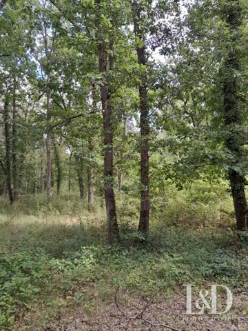 PARCELLE DE BOIS - POLIGNY - 77