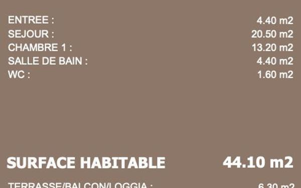 Appartement à vendre    2 pièces • 44,10 m2 Neuville-sur-Saône