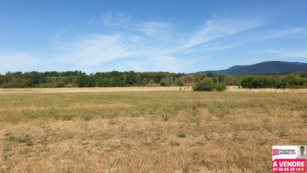 Terrain 2 227 m²