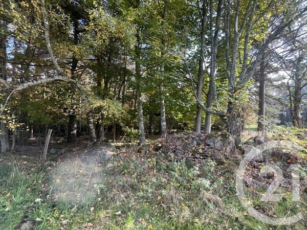 Terrain à vendre  17697 m2 BURDIGNES - 42