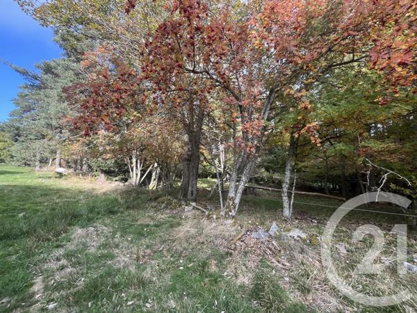 Terrain à vendre  17697 m2 BURDIGNES - 42