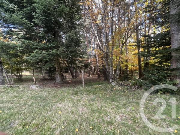 Terrain à vendre  17697 m2 BURDIGNES - 42