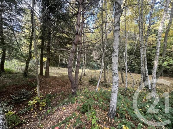 Terrain à vendre  17697 m2 BURDIGNES - 42