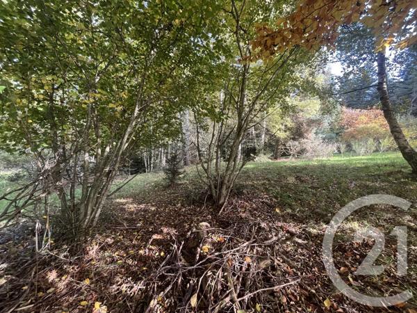 Terrain à vendre  17697 m2 BURDIGNES - 42