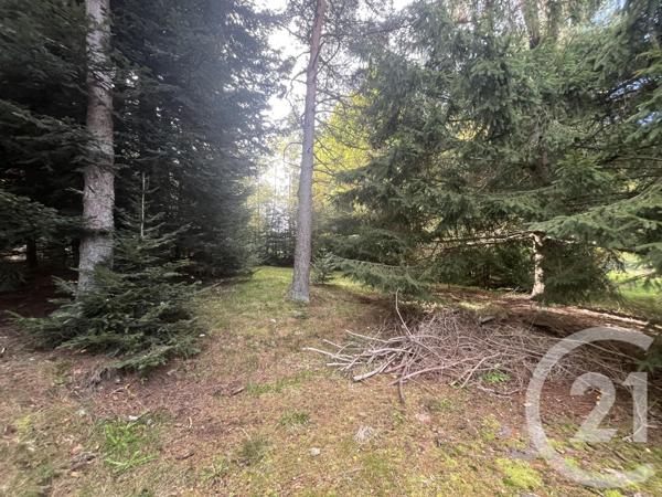 Terrain à vendre  17697 m2 BURDIGNES - 42