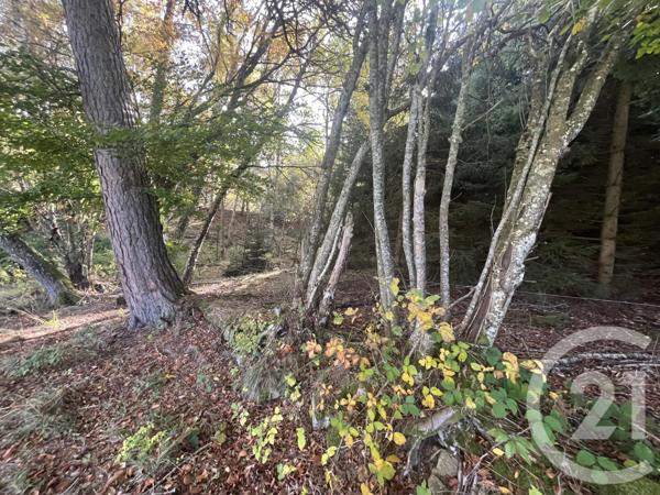 Terrain à vendre  17697 m2 BURDIGNES - 42