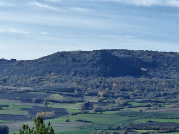 Terrains de 3092 m2 dont 1573m2 à bâtir