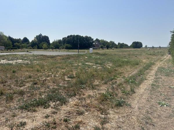 Vente / Terrain constructible à Marckolsheim (67390)
