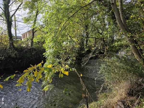 Vente Maison 11 pièces 353 m2 à Rabastens-de-Bigorre