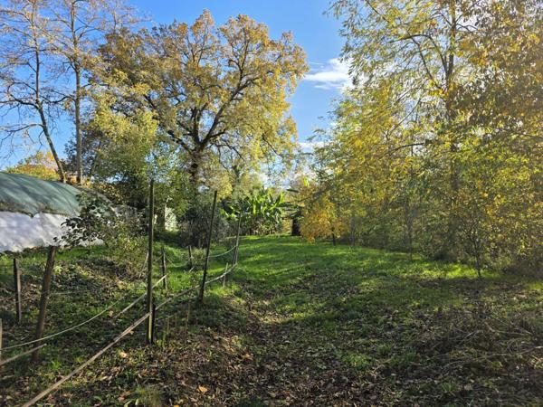 Vente Maison 11 pièces 353 m2 à Rabastens-de-Bigorre