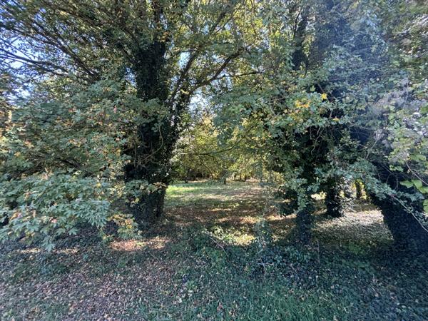 Villiers-sur-Morin (77580) Terrain à bâtir - 2 048m2