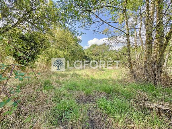 Achat terrain Bressuire - 1945 m² - 24 640 €