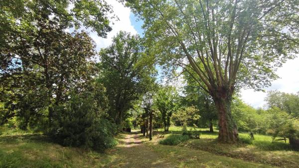 Maison à vendre    7 pièces •  Pouillon