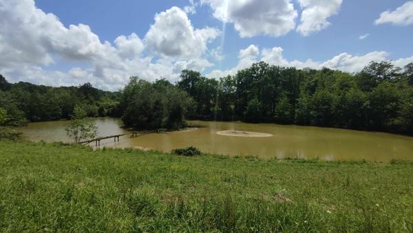 Maison à vendre    7 pièces •  Pouillon