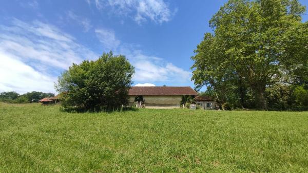 Maison à vendre    7 pièces •  Pouillon