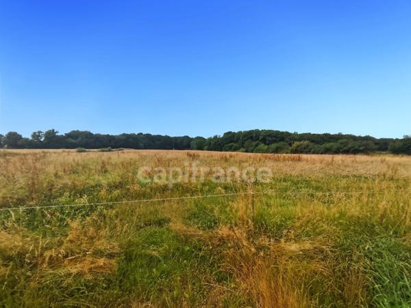 Maison à vendre 5 pièces proche de SAINT GERMAIN DU PLAIN (71)