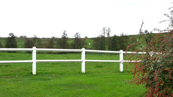 MANOIR 8 PIECES CORPS DE FERME ET GRANDES DEPENDANCES SUR 6.5 HECTARES