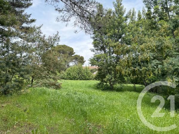 terrain à vendre  1200 m2 LA CROIX VALMER - 83